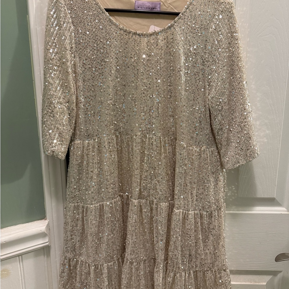 Glittery Silver Women Dress
